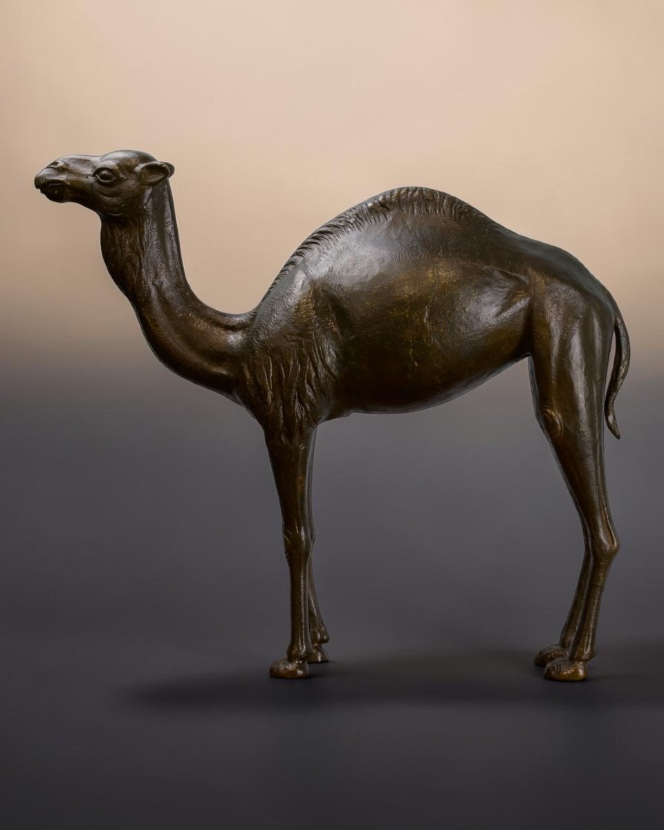 Bronzo Di Dromedario Di Gusto Coloniale - Italia Inizio XX Secolo-photo-1
